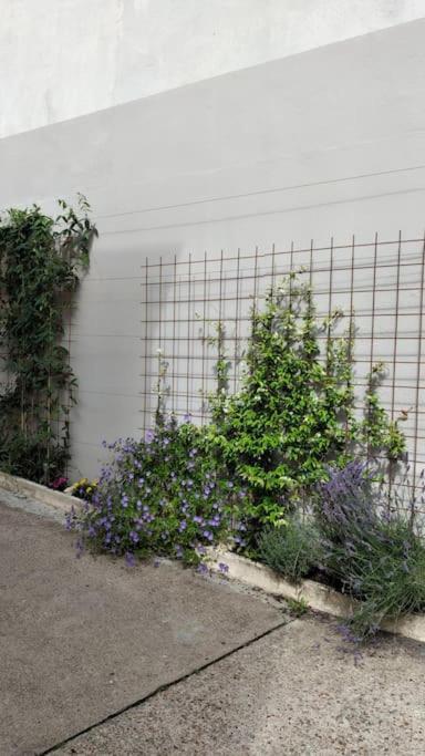 Experience Inouie A Orleans ! Apartment Exterior photo